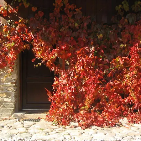 Дом отдыха Trapera