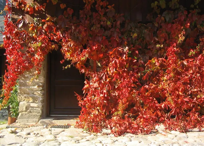 Casa vacanze Trapera